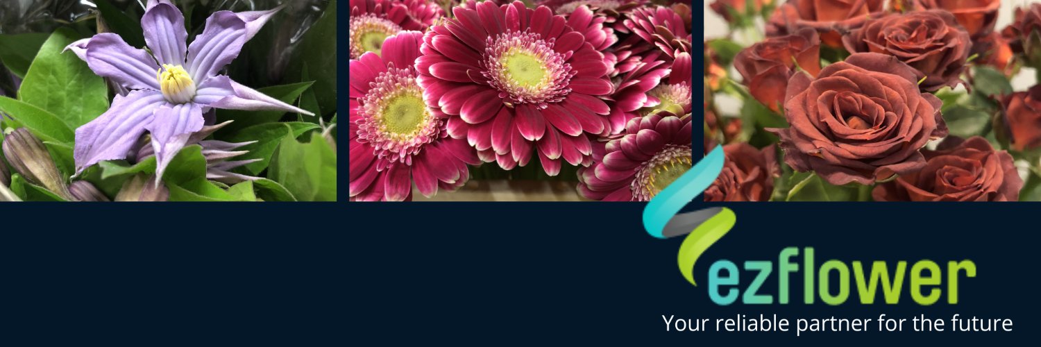 ez_flower's profile banner image