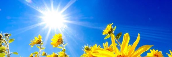 VijayVichaar's profile banner image