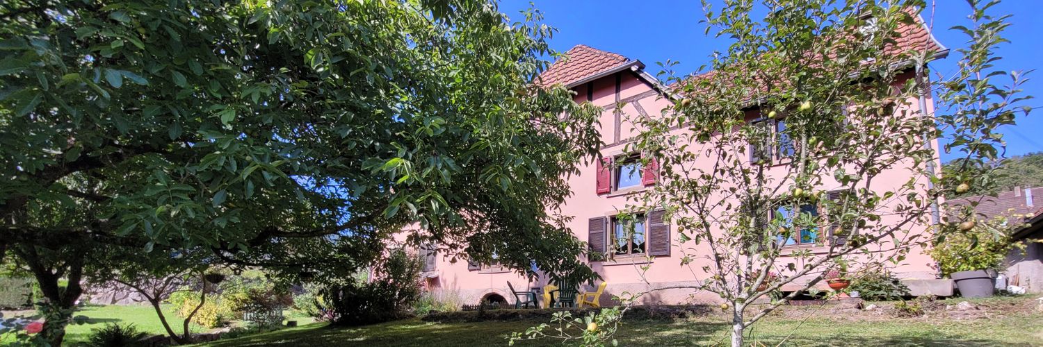 Max 🏳️‍🌈🇫🇷 banner