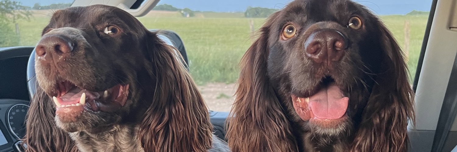 daniellemtowler's profile banner image