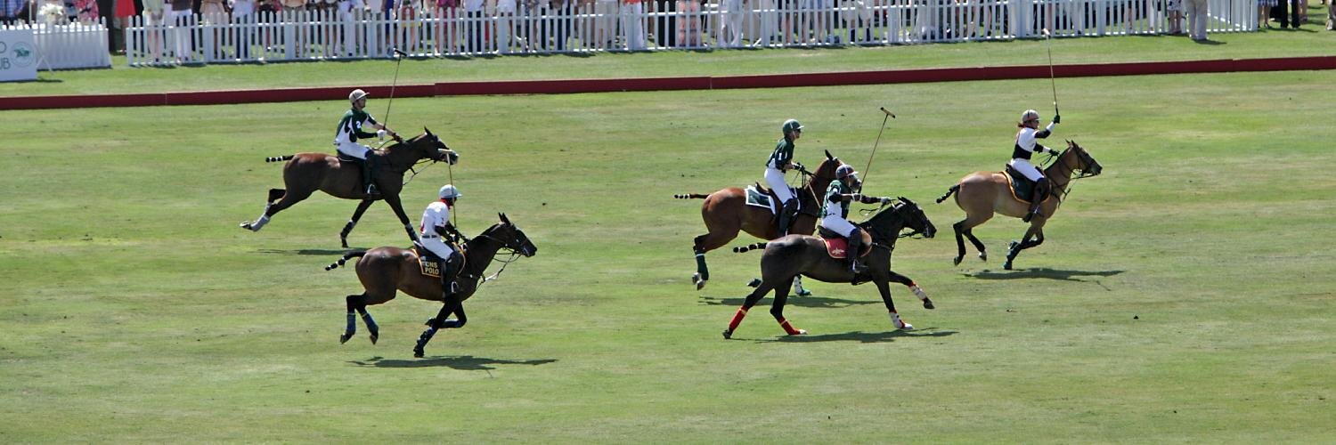 sdpolo's profile banner image