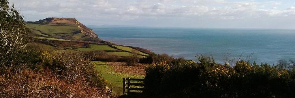 West Dorset Labour banner