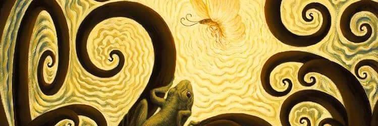 themothnfrog's profile banner image