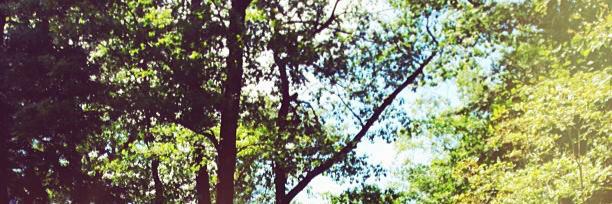 mcgoldstone's profile banner image
