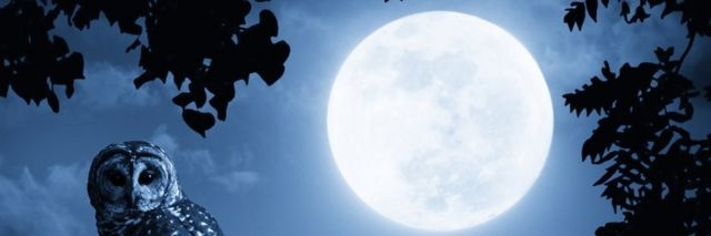 mgarcia191's profile banner image