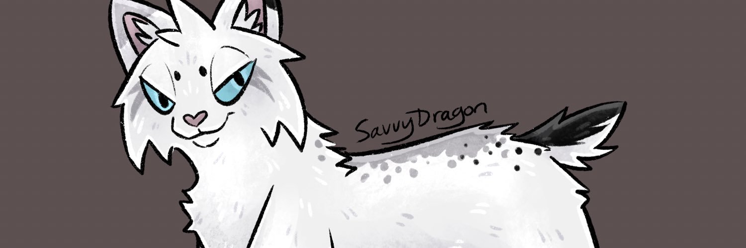 SavvyDragon's profile banner image