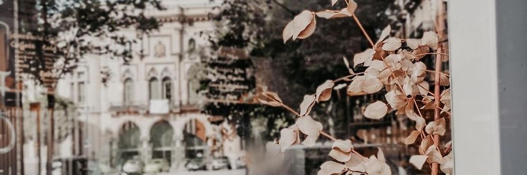 A__ALRefaei's profile banner image