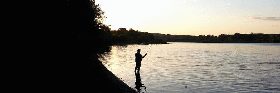 Niallon's profile banner image
