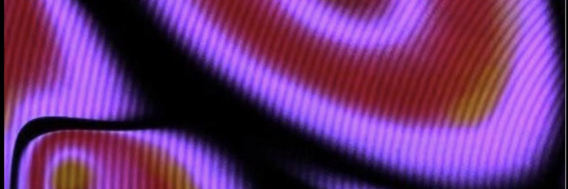 lilbigspice's profile banner image