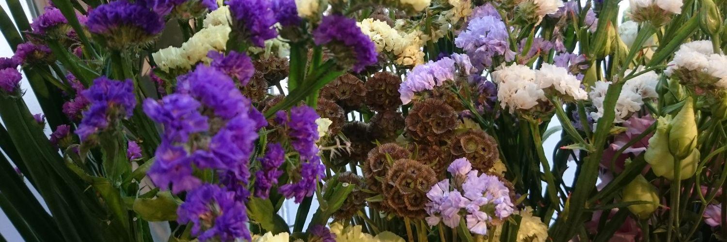 Meredith KD Hawking banner