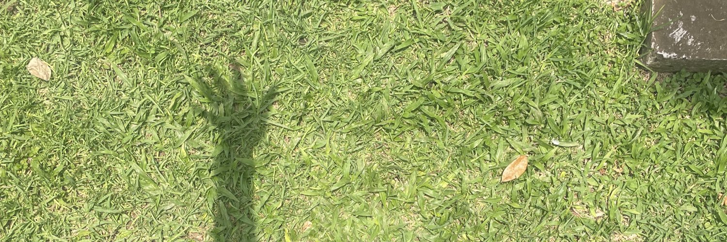 CalidoInviernoo's profile banner image