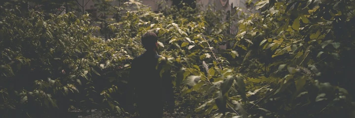 Sébastien Carassou banner