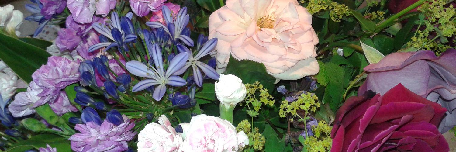 princekate5's profile banner image