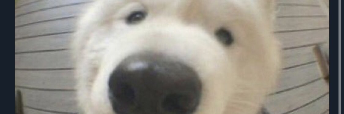 GuitonJoshua's profile banner image
