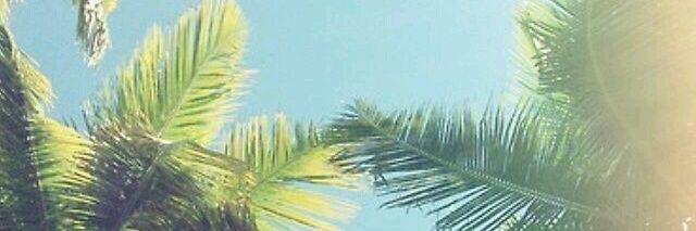weff84's profile banner image