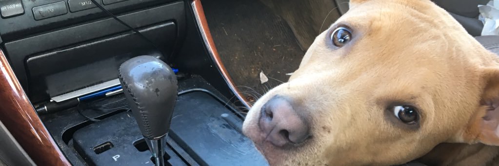 SNKRTrvlr's profile banner image