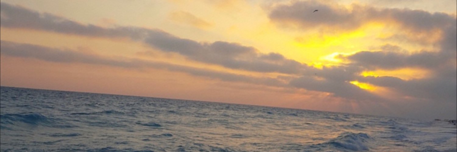 abrar_atef's profile banner image