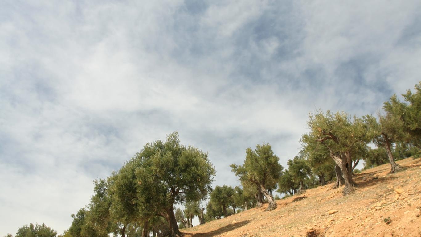 aspnilho's profile banner image