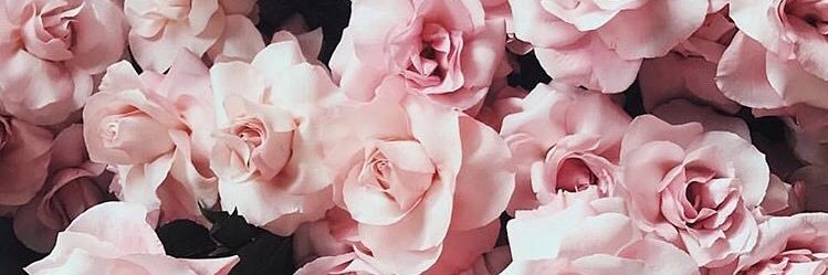 Rose_Katie's profile banner image