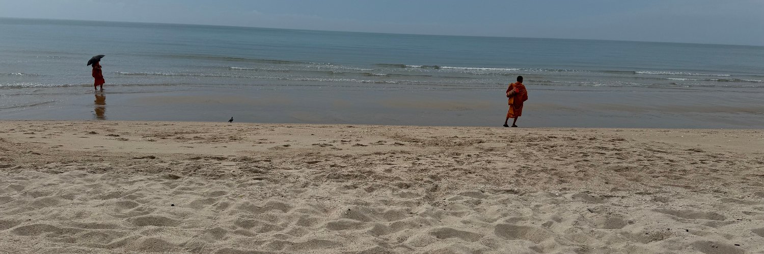 Pim Uijttew@@l banner