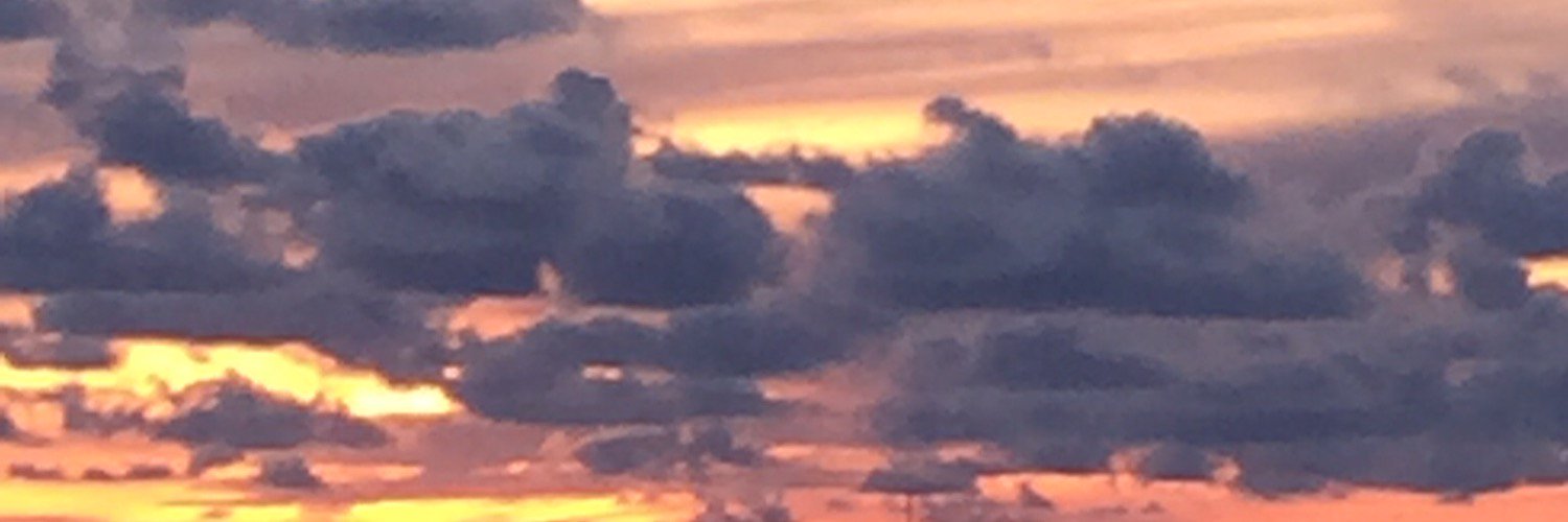 quinlan_sandi's profile banner image