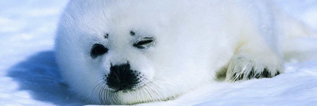 RY119 💉😷💙 banner