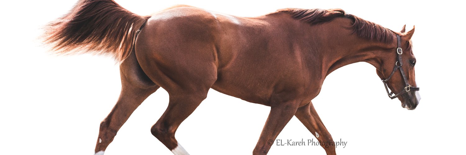 ElKarehPhoto's profile banner image