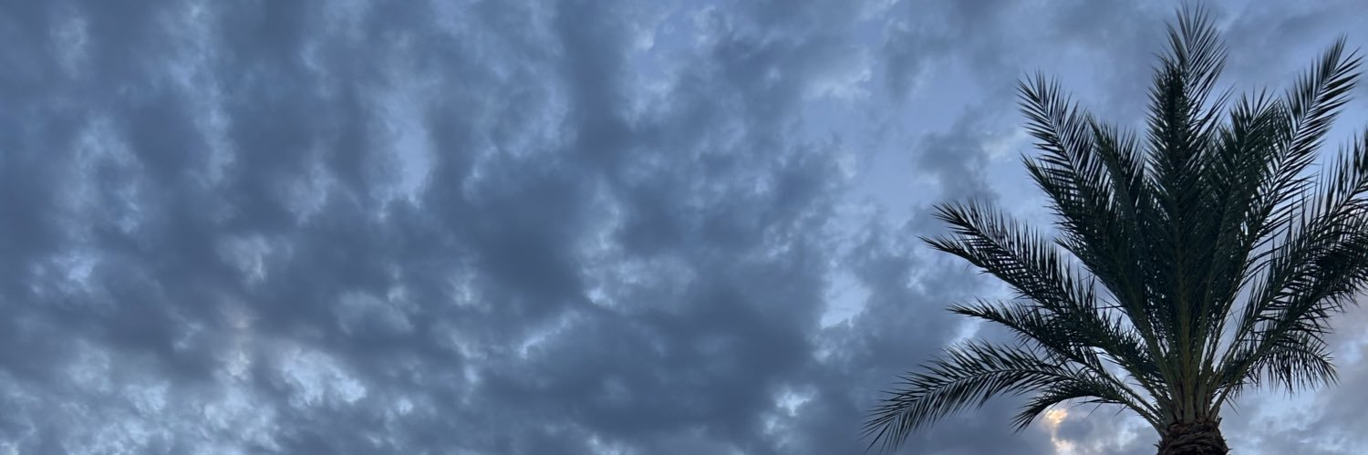 willafortune305's profile banner image