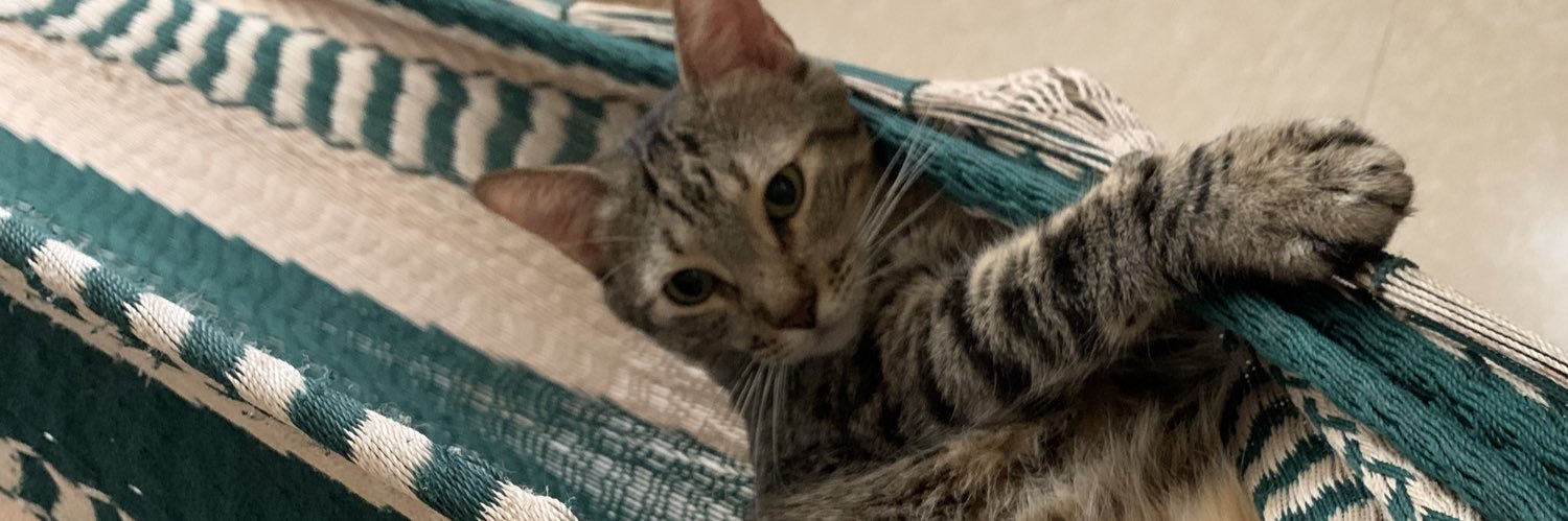 sheilapch_'s profile banner image