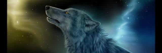 NickDreamer4's profile banner image
