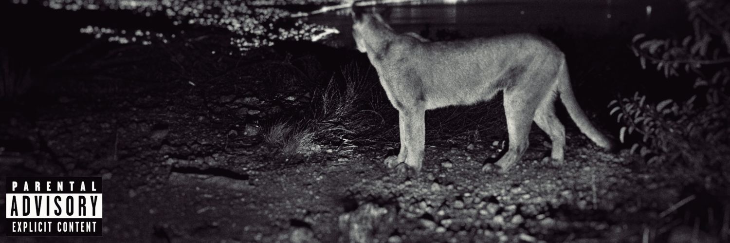 honky kong🏴‍☠️ banner