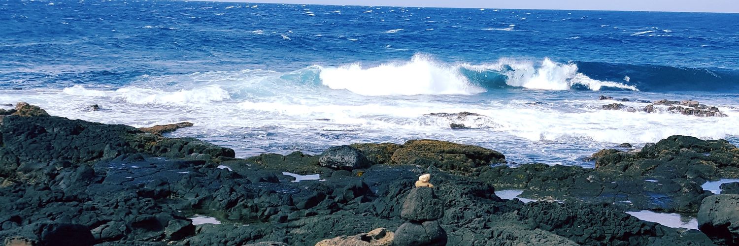 Bryan David Downs banner