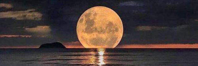 GaliotoTraci's profile banner image