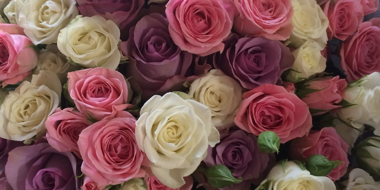 Lisamarieweir's profile banner image