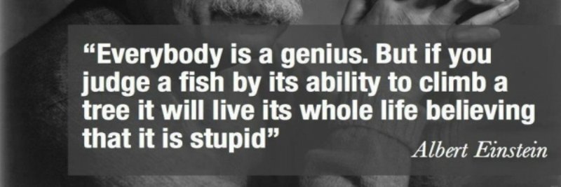 Karina L Washington banner