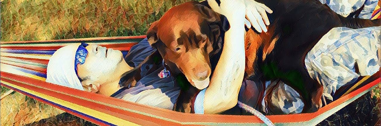 taf_wind's profile banner image