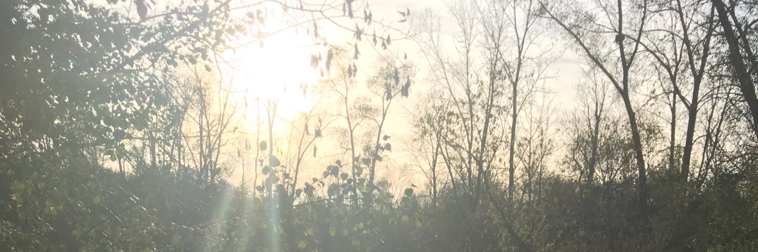 h_heading's profile banner image