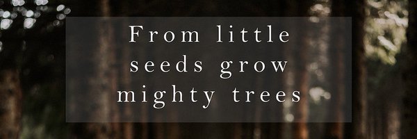 RecStHerberts Profile Banner