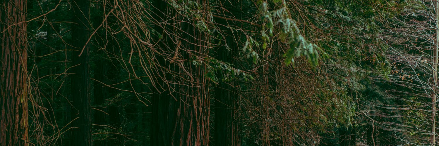 Melobara's profile banner image