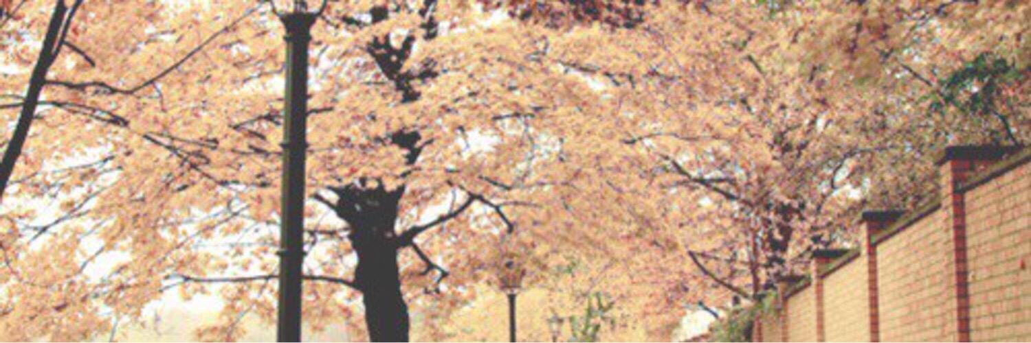 EAZYDOLANS's profile banner image