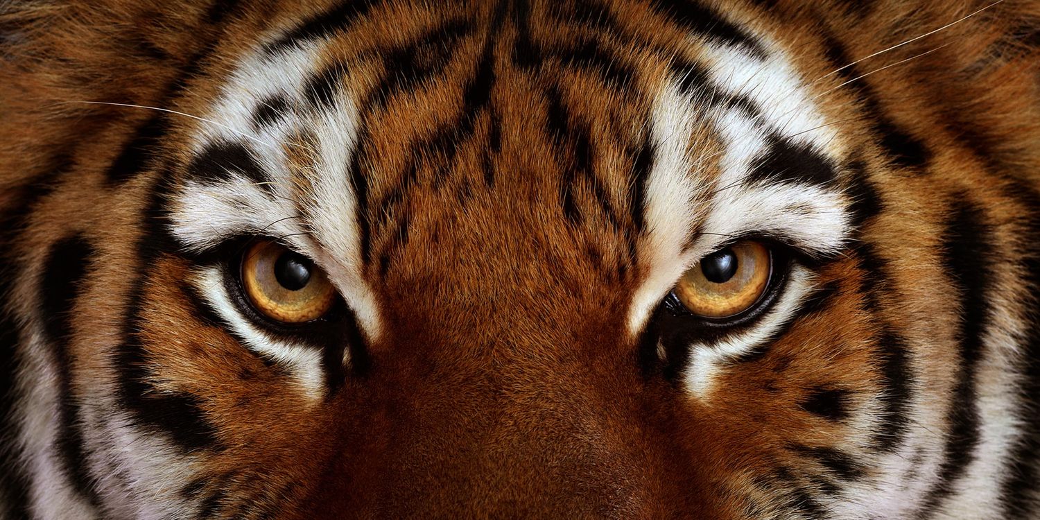 vikaskmr091's profile banner image