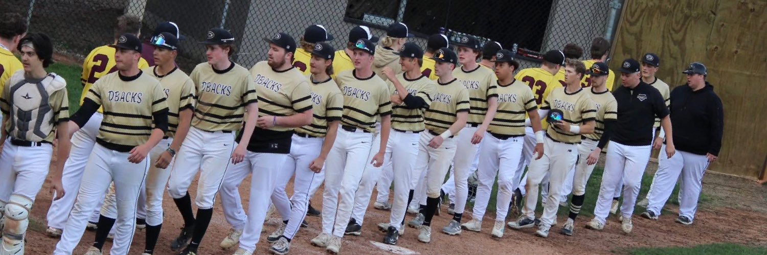 Dodge County DBacks banner