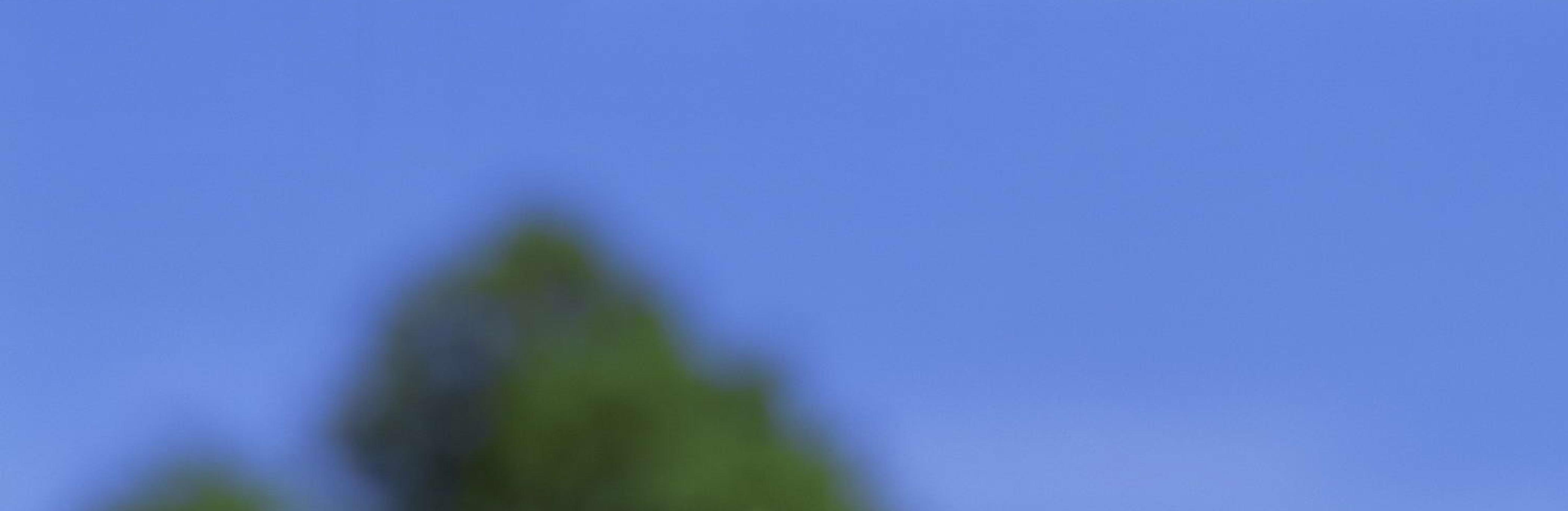 jamieindy's profile banner image