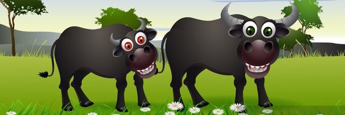 lkatsj's profile banner image