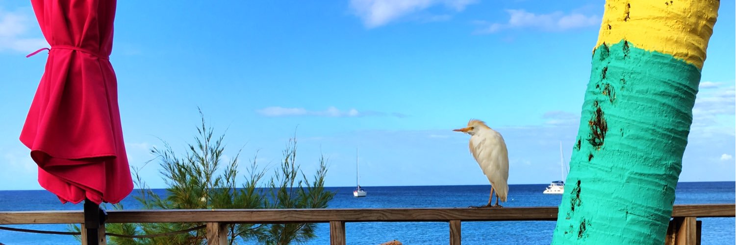 Cat_OconnellHR's profile banner image