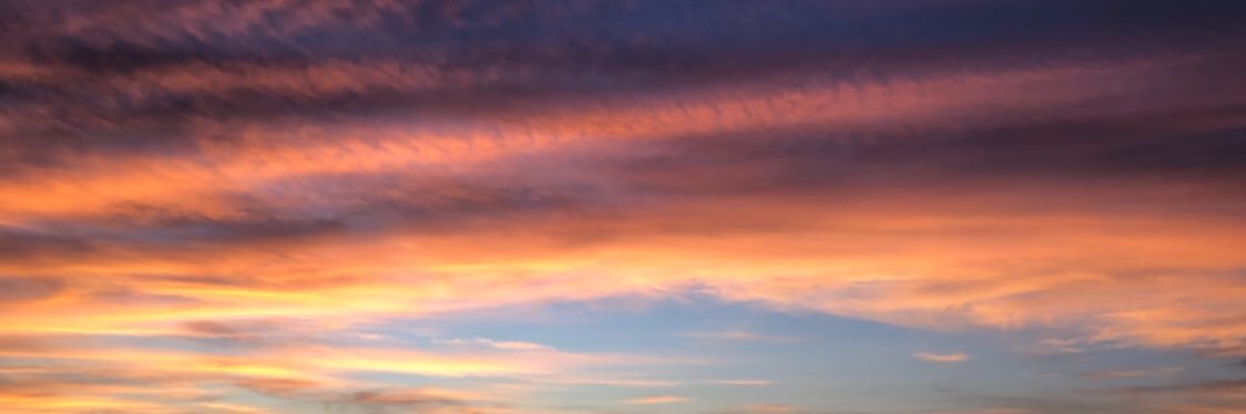 condormissedit's profile banner image