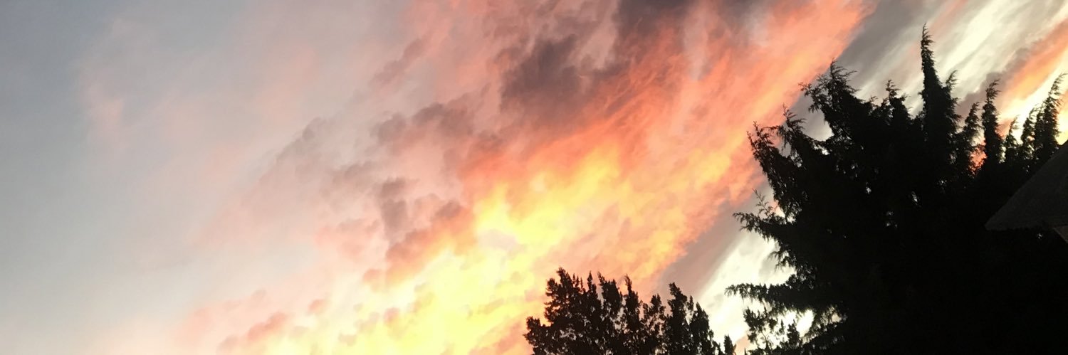 ValeryReza's profile banner image