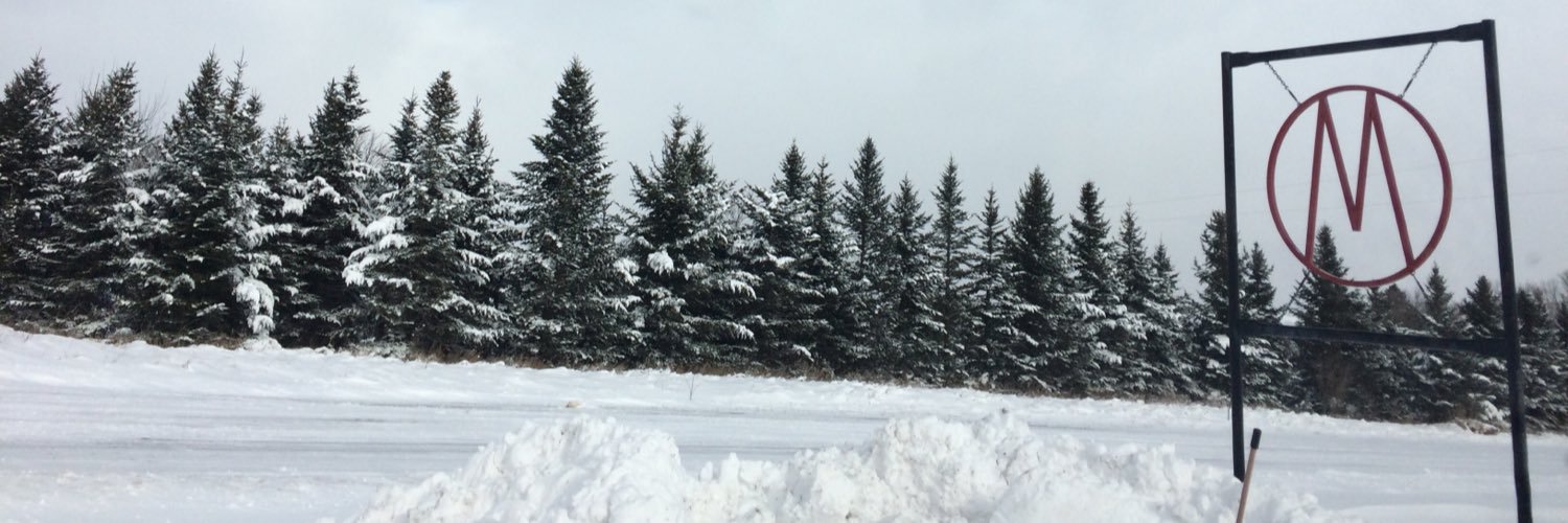 KalliMosher's profile banner image