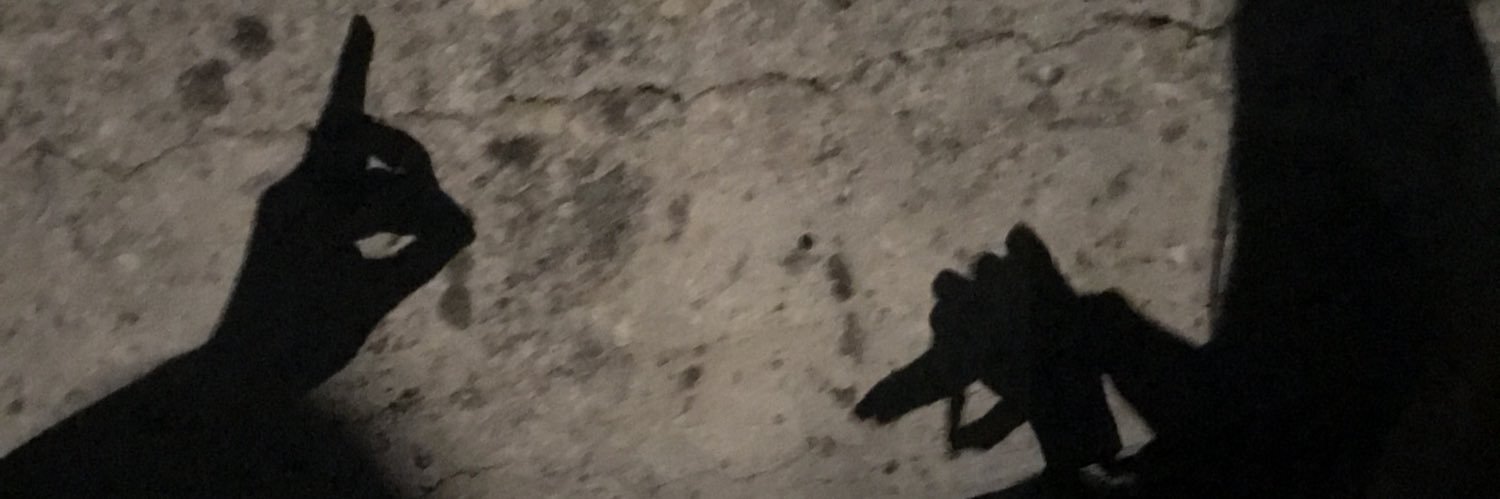elopez12's profile banner image