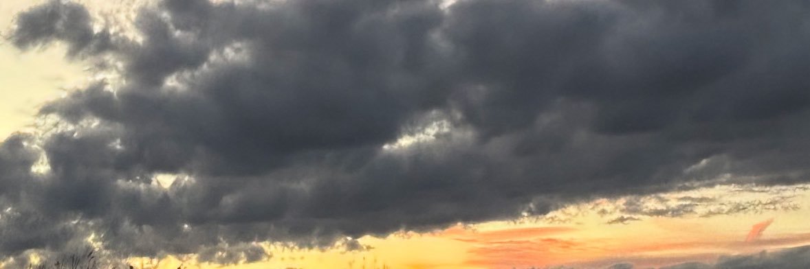 Genevieve banner